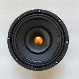 钴磁10寸全频喇叭羊毛纸盆泛音丰富高音细腻Alnico speaker