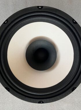 镇店10寸全频喇叭双纸盆白盆发烧hifi高灵敏度十寸人声甜美扬声器