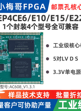 【E22有货】小梅哥AC608 FPGA 工业级 邮票孔核心板 EP4CE22/CE10