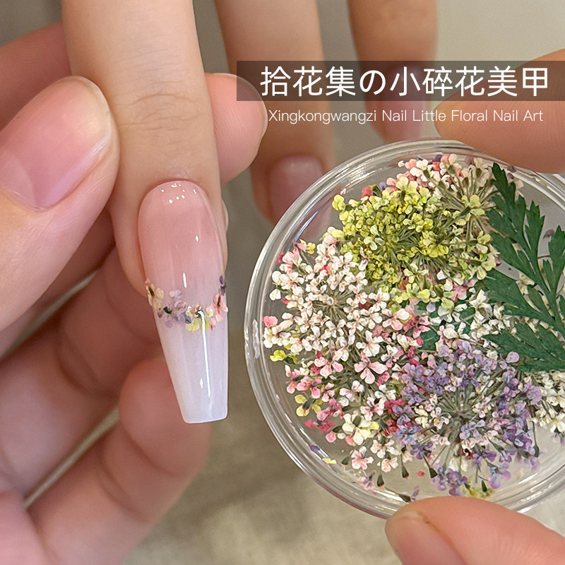 美甲拾花集小碎花2026新款春日彩色混装干花迷你ins风指甲装饰品