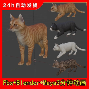 blender次世代虎斑猫咪3d宠物猫模型带骨骼动作走跑跳maya动画fbx