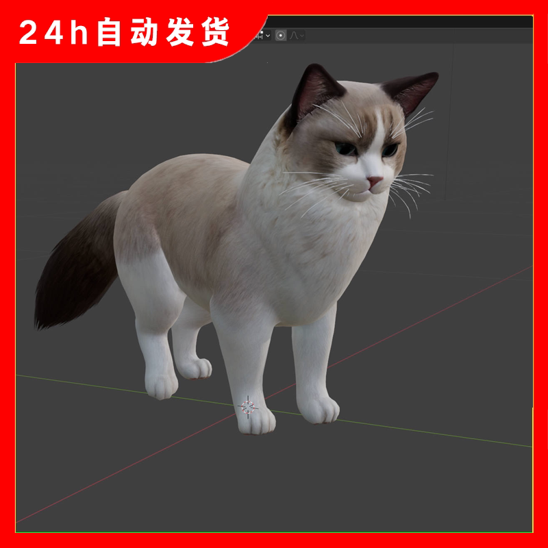 布偶猫3D模型max fbx文件带贴图