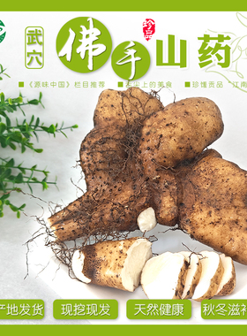 【现挖现发】武穴佛手山药梅川佛掌山药蕲春黄梅天然种植营养健康