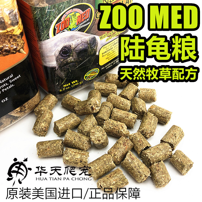 zoomed旱地型森林型陆龟粮