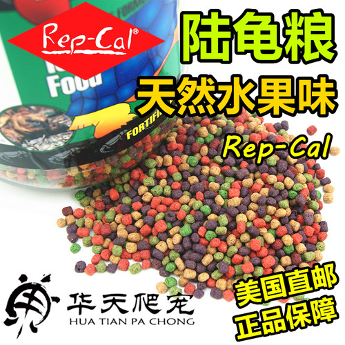 正品美国进口t-rex陆龟水果粮