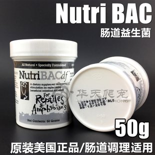 美国Nutri BAC50g爬宠肠胃调理爬虫益生菌陆龟拉稀拒食腹泻 包邮