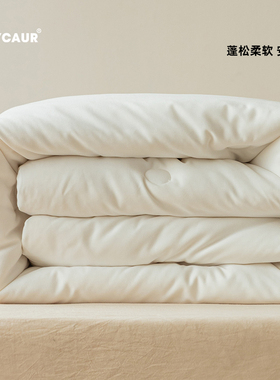 小井家 大豆纤维双人被子加厚保暖冬被夏凉被柔软被芯春秋被冬季