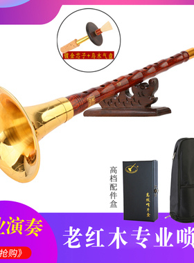 专业老红木唢呐乐器专业演奏唢呐老红木D调唢呐初学成人全套唢呐