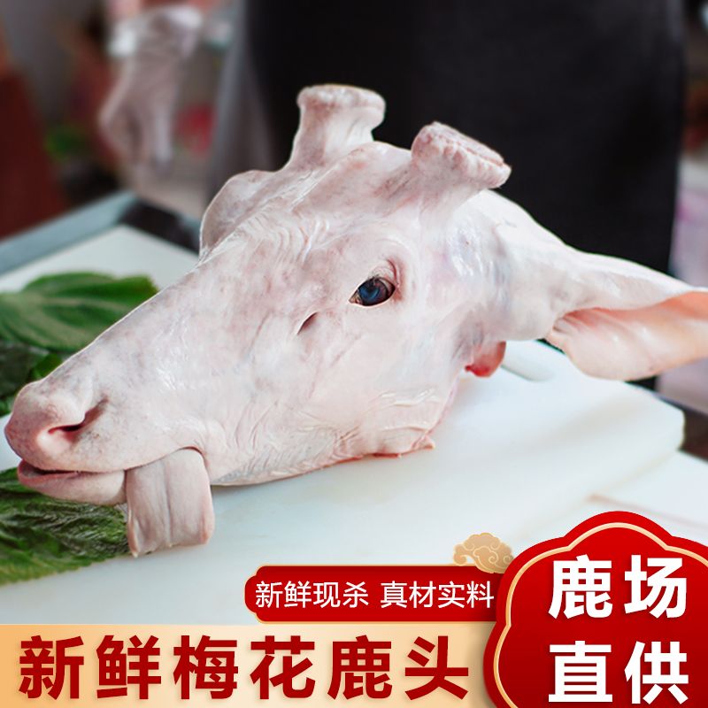 空运新鲜鹿头正宗梅花鹿头整只鹿其它生肉制品