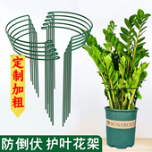 花架支撑杆金钱树支撑架植物护花架固定园艺盆花虎皮兰支架龟背竹