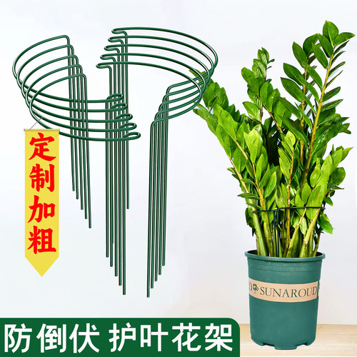 植物支撑包塑铁艺半圆花架