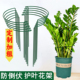 花架支撑杆金钱树支撑架植物护花架固定园艺盆花虎皮兰支架龟背竹