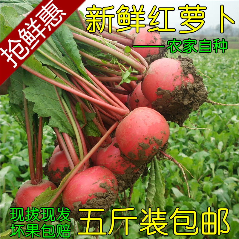 湖北天门现摘现发坏果包赔