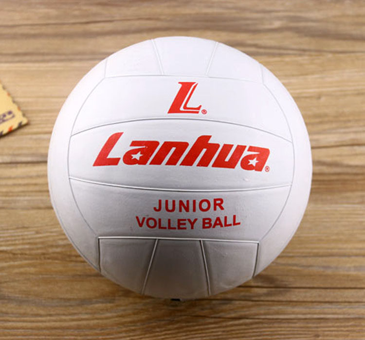 Ballon de volley-ball - Ref 2010987 Image 4