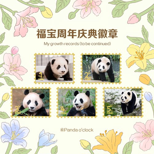 福宝周年庆典徽章