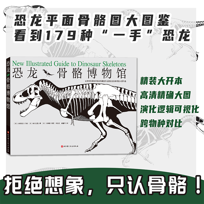 恐龙骨骼博物馆恐龙科普
