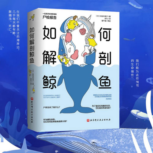 北京科学技术如何解剖鲸鱼