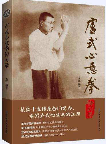 集数十支传系合门之力，重写卢式心意拳江湖