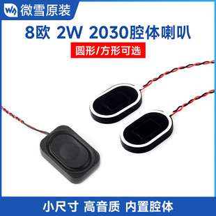 高音质小体积显示屏扬声器 内置音腔 2030腔体喇叭8Ω 微雪