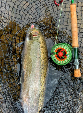 MAXCATCH飞钓竿Premier淡水溪流碳素大中小号2.7米马口白条翘嘴竿