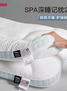 ABS深睡SPA记忆枕头护颈椎助睡眠枕芯成人睡觉专用家用整头男新款