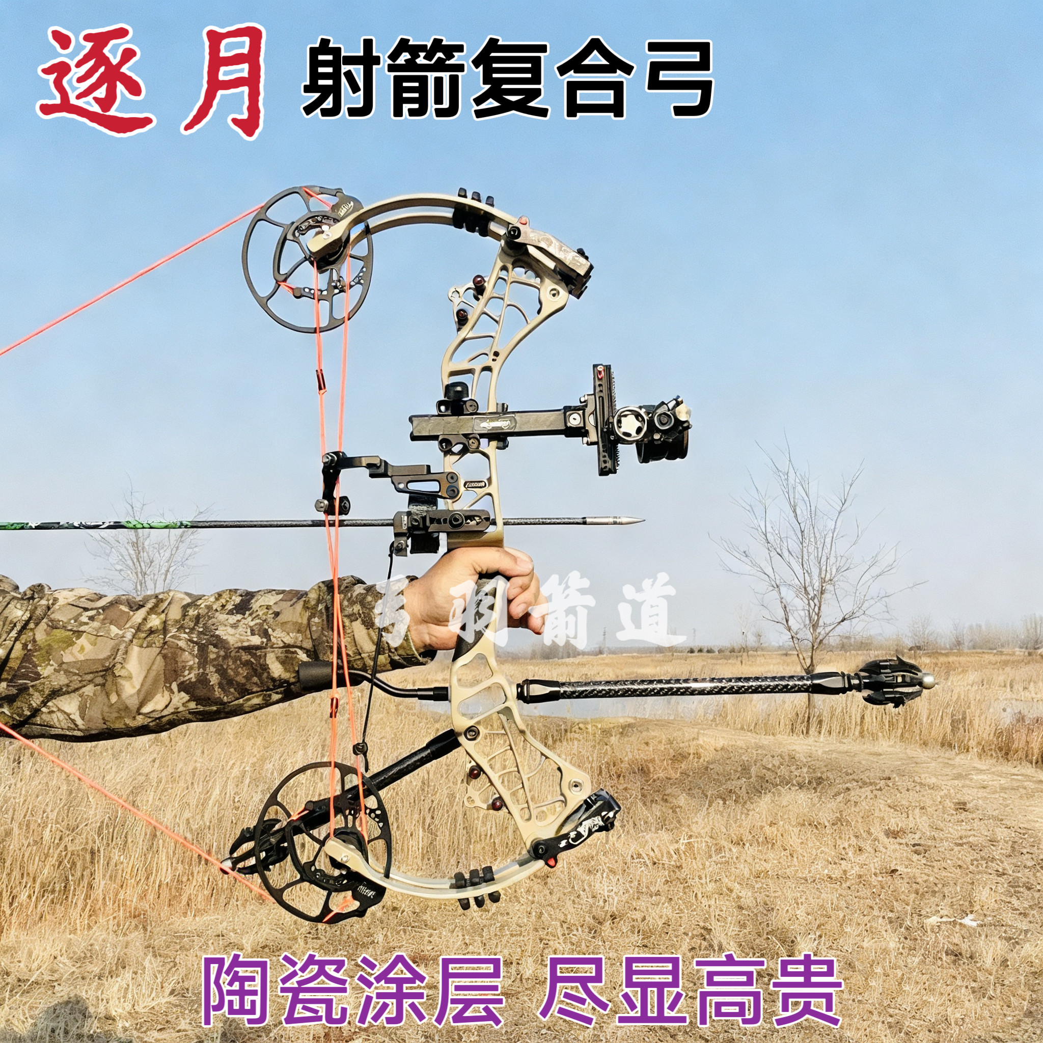 辰可体育逐月复合弓箭成年户外高精度射击运动非毒液伏羲三利达弓,运动/瑜伽/健身/球迷用品,弓,淘宝优惠券,粉丝福利购,淘宝优惠卷