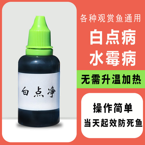 鱼缸观赏鱼热带鱼金鱼白点病白毛