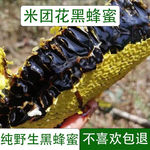 云南野生蜂蜜纯正天然野生蜂蜜原生态百花蜜农家自产自销西双版纳