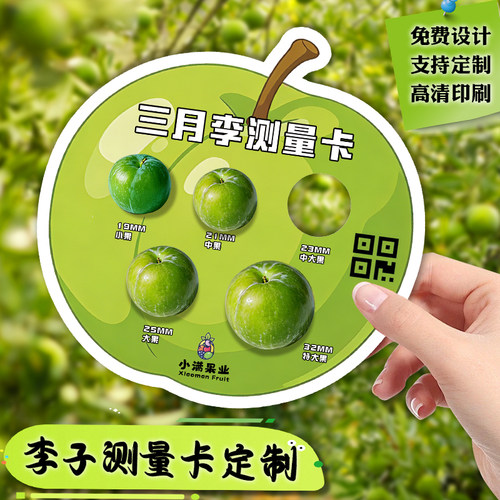 李子测量卡定制三月李果径标准卡尺设计水果logo广告宣传卡印刷 - 封面