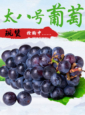当季水果新鲜现摘陕西户太八8号葡萄孕妇小孩水果无籽2/3斤4斤5斤
