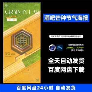 酒吧夜店KTV酒馆会所芒种节气宣传海报PSD模板设计素材685期