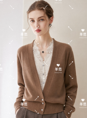 蕾丝拼接假两件女士V领气质上衣