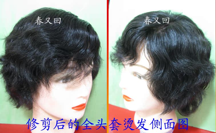 Extension mèches - Ref 223980 Image 4