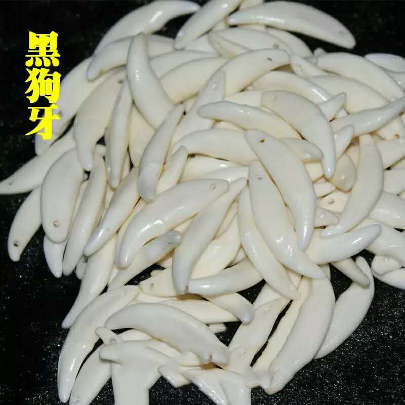 黑狗牙狼牙吊坠男女项链狗牙齿狗牙套手链脚链宝宝婴儿童