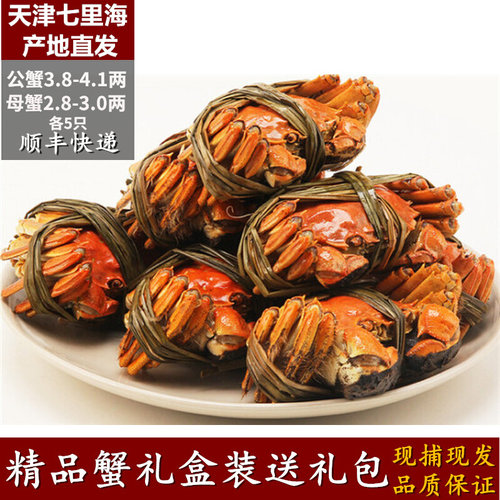 天津七里海河蟹鲜活大闸蟹公蟹