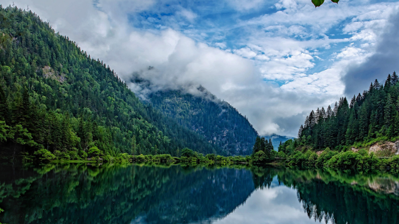 java 程序运行 解答 代码功能讲解 源码 环境搭建 问题咨询 配置