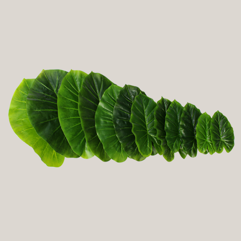 仿真树叶大叶子店铺过胶滴水观音