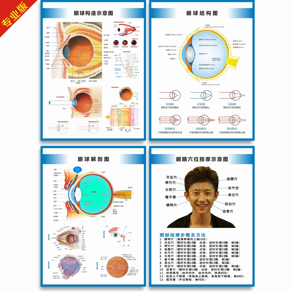 眼球解剖图结构图眼球的构造眼睛穴位按摩眼保健操眼科海报挂图
