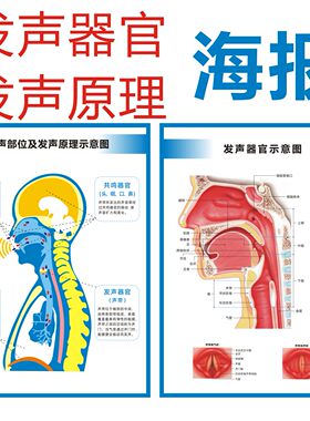 发声器官声乐教学海报