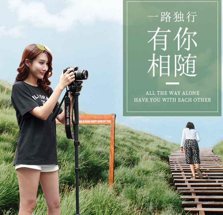 摄影摄像 低角度拍摄