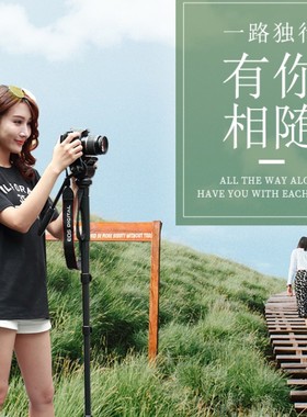 伟峰3958M摄影摄像独脚架单反 相机云台单脚架便携支撑脚架登山杖