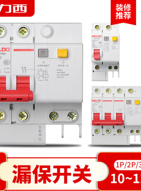 德力西小型断路器DZ47家用电闸1/2P63A总空气开关带漏电保护器