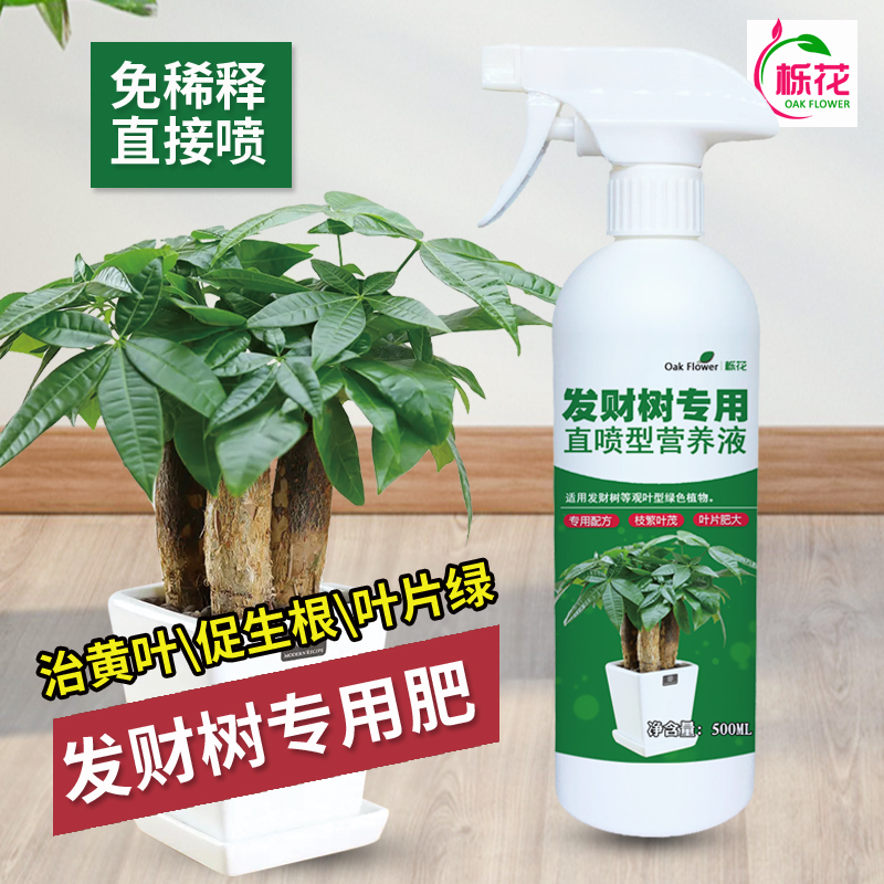 发财树营养液专用肥治叶发黄掉叶花肥料植物盆栽土水培通用免稀释