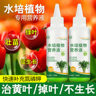水培植物营养液通用型室内植物生根液绿萝铜钱草碗莲富贵竹专用肥