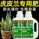 虎皮兰营养液白玉金边虎皮兰专用肥料虎尾兰盆栽植物通用液体肥料