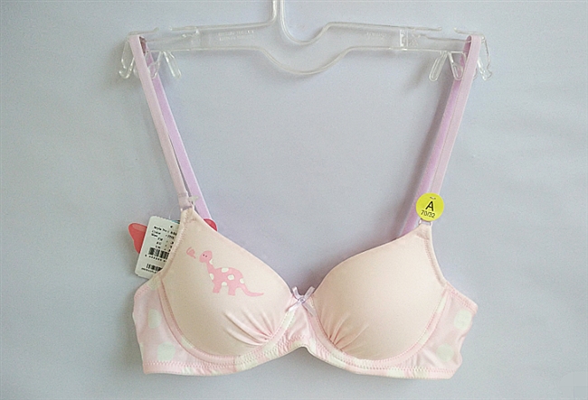 泰国薄杯可爱风文胸插片内衣