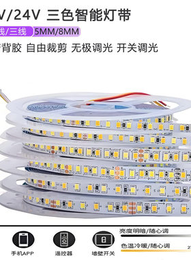 三色变光led灯带12v24v自粘双色温5mm8mm二合一无极调光吊顶灯条