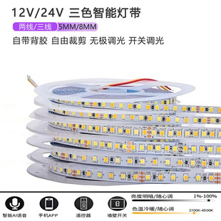 三色变光led灯带12v24v自粘双色温5mm8mm二合一无极调光吊顶灯条