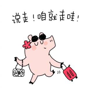 拍后不退不换 拍多少件 拍下请备注 多少元 小兔转拍链接