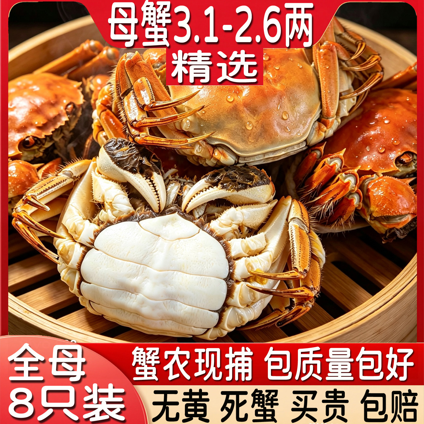 活蟹兴化红膏大闸蟹全母蟹3.1-2.6两8只鲜活现货螃蟹中秋河蟹礼盒